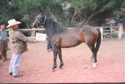 �ٶ����� ����