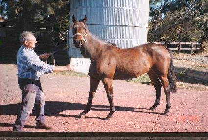 ���� ����