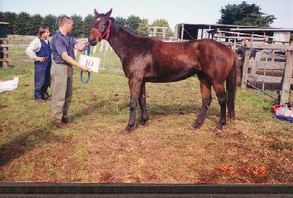 ���̵�ַδ� ����