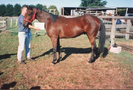 ������� ����