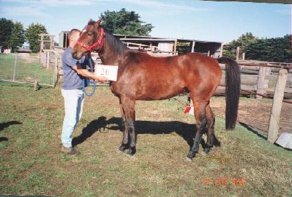 �������� ����