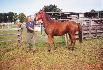 ȣ�� (HOGEOL) ����