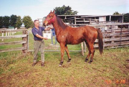 ȣ�� ����