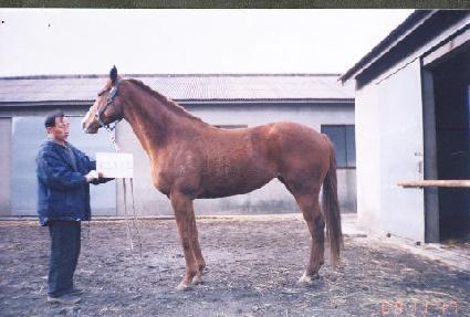 ������� ����