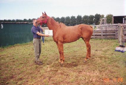 �ƿ��ڷ������̵� ����