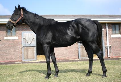 �۽��ȹٿ�Ƽ ����