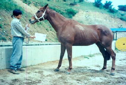 ũ������Ʈ ����