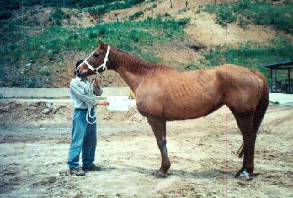 ����Ÿ�� ����