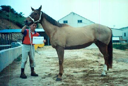 ���þƷ��� ����