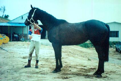 ��Ʈ ����