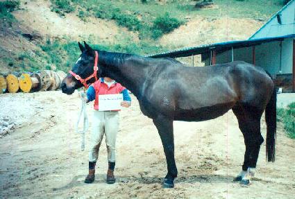 ���̵�ٶ�� ����