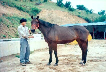 �����Ƽ ����