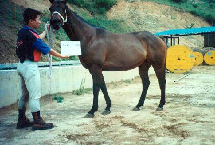 ���� ����