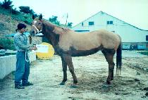 ��Ʈ����Ʈ (SOUGHT AFTER) ����