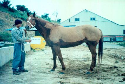 ��Ʈ����Ʈ ����