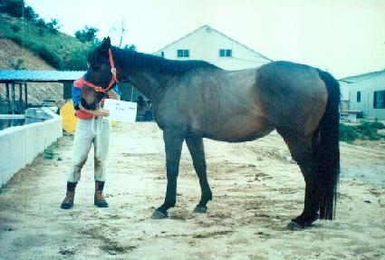 ��Ÿ�ϸ����÷� ����