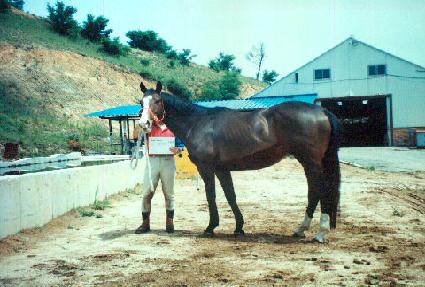 �����̵𰶷��� ����