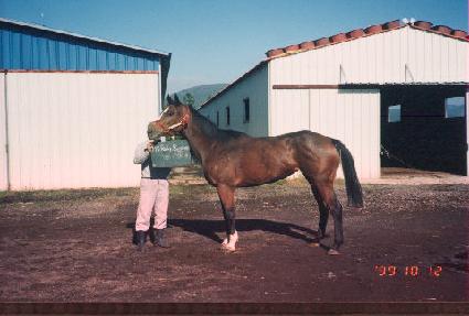 �����Ű������ ����