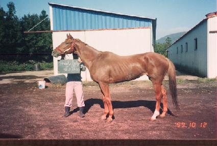 �����̺� ����