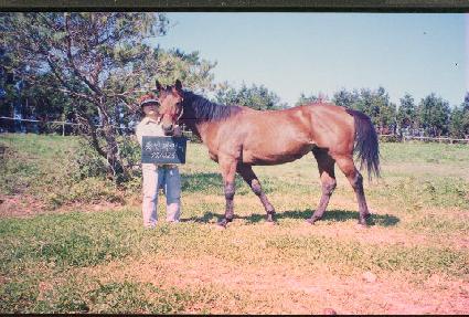 Ǫƾ�۸Ӵ� ����