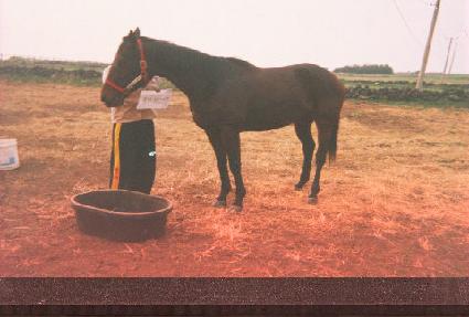 �ݹ̴��̳�����Ʈ ����