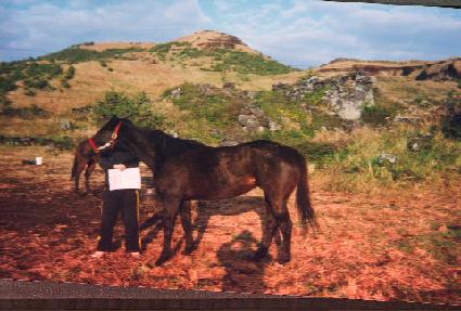 �ξ����Ʈ ����