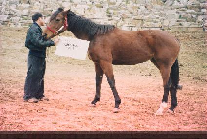 �������� ����