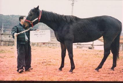 �ƿ������ ����