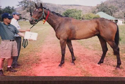 �������� ����