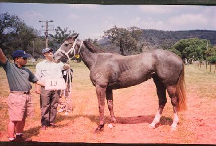 Ÿ��ī����Ʈ ����