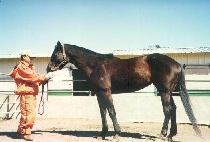 ����¡���� ����