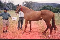 ȭ�� (HWAJU) ����