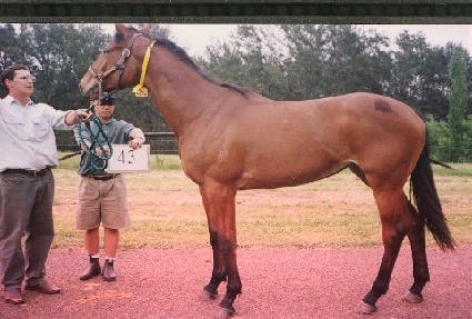 ���ö� ����