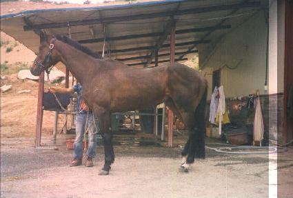 ���� ����