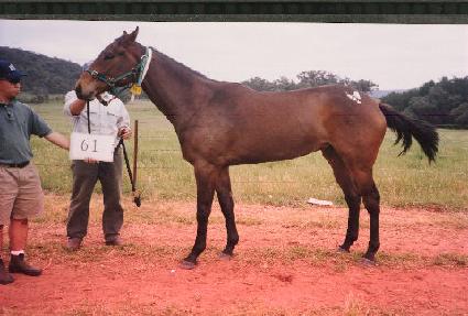 ���� ����