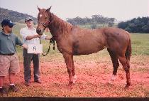 ����� (TAEGWALLYEONG) ����