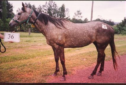 ������õ ����