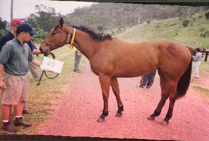 �ʸ���ũ�� ����