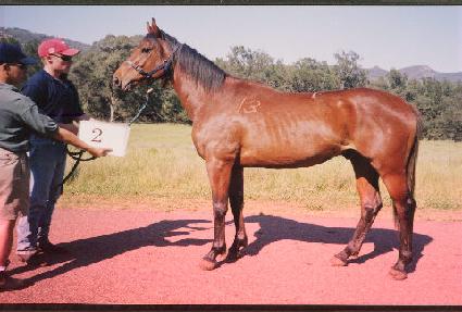 ��Ÿ�� ����