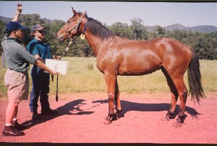 ������ ����