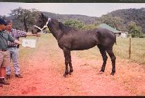 ������ (TAEP��OKPAL) ����