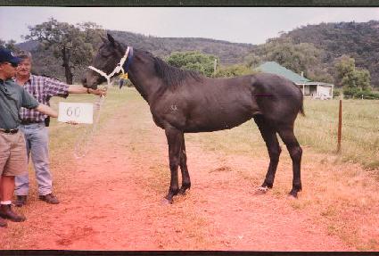 ������ ����