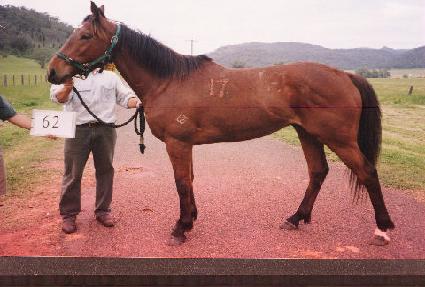 ĳ���Ǹ��� ����