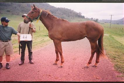 ���� ����