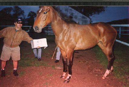 õ���ϰ� ����