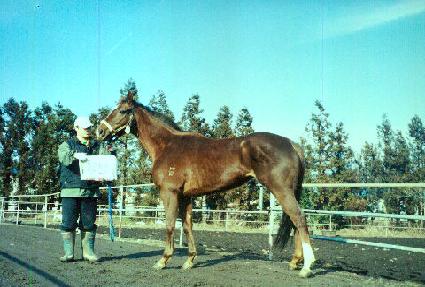 �丮�ؾ� ����