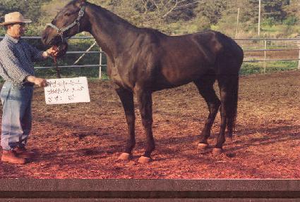 ���̸��� ����