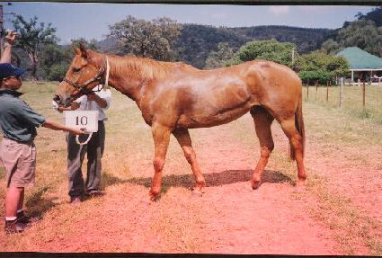 �ź� ����