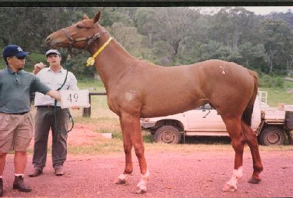 ������ ����