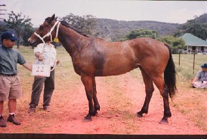 ���Ǿ�� ����